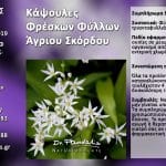 Κάψουλες Φρέσκων Φύλλων Άγριου Σκόρδου